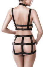 2 piece Harness Set 15125 - XL/2XL-5