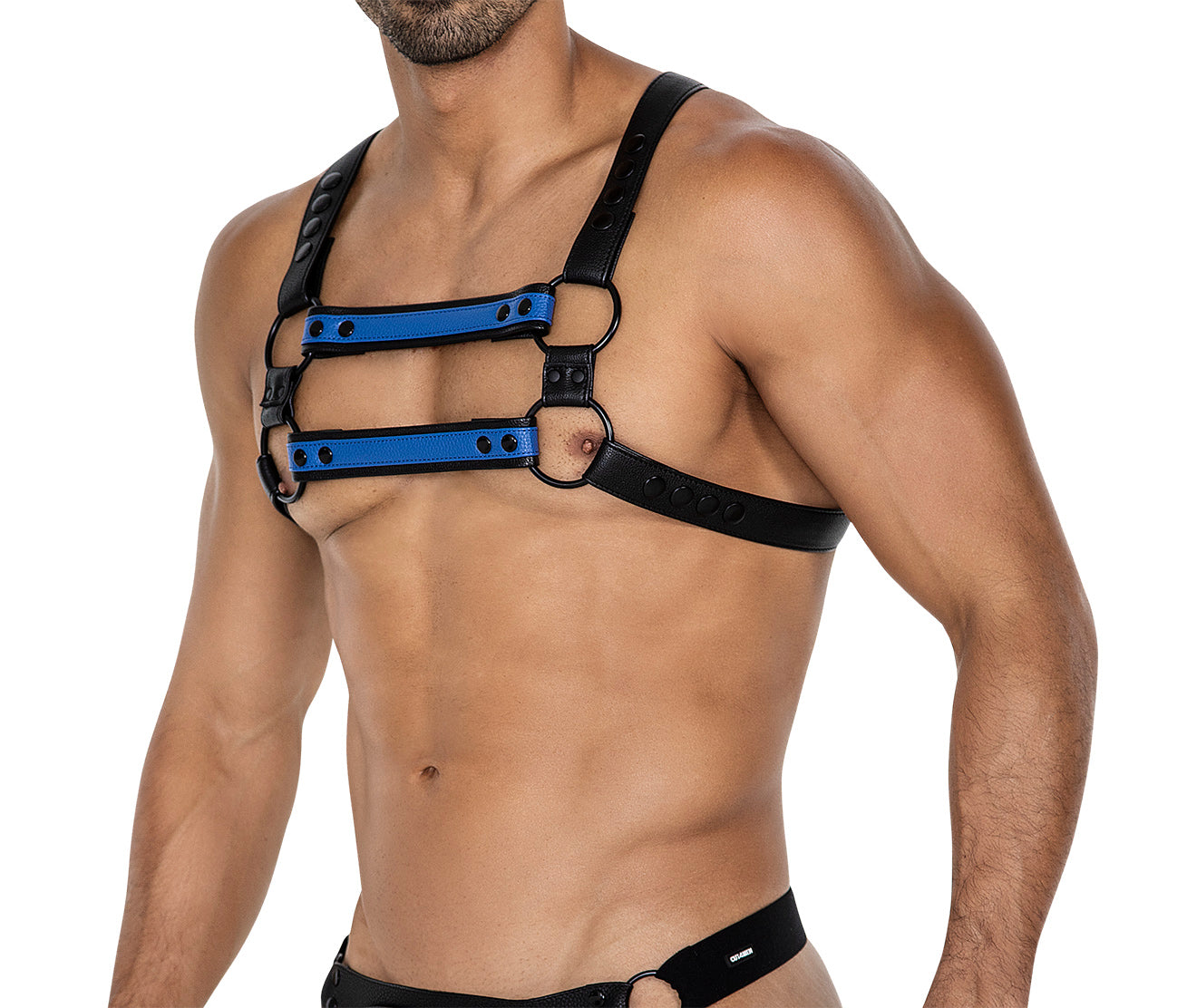 black/blue chest harness 06 - OS-4