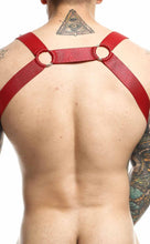 DNGEON STRAIGH BACK HARNESS BY G UNDIE